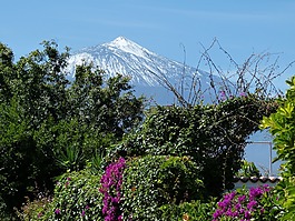 特內(nèi)里費(fèi),加那利群島,景觀