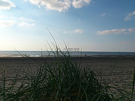 海,北海,海灘