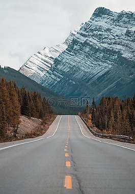 自然,路,公路