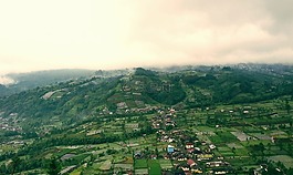 景觀,村,自然