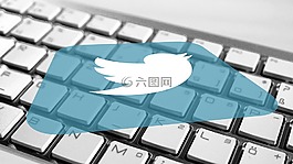 twitter,鍵盤,社會