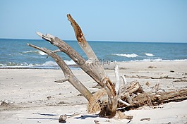 立場,海,漂流物