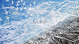 海岸,海灘,外殼