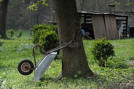 獨(dú)輪車,樹,花園