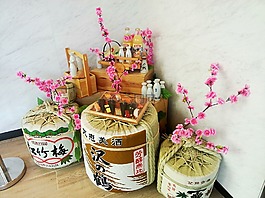 日本,櫻花,靜物