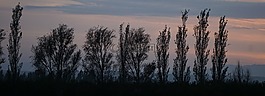 秋季,pastellfarben,abendstimmung