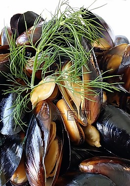 鮑魚,myuzle,海鮮