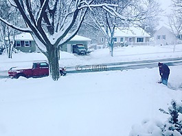 冬天,雪,白雪皑皑的邻域