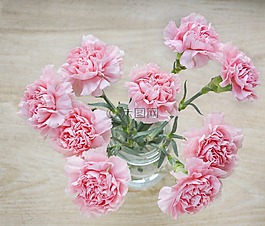 鮮花,花束,丁香