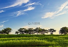 天空,日本,日落