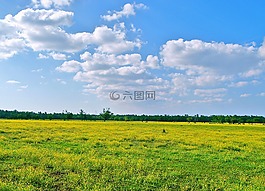 草甸,原野,土地