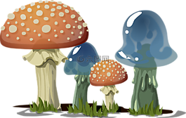 蘑菇,毒菌,真菌