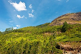 性質(zhì),山,景觀