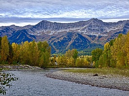 秋,山,森林