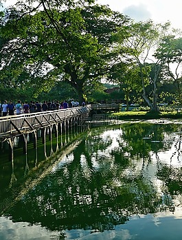 湖,橋,木