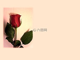 母親節,媽媽,母親
