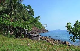 性質(zhì),水體,夏季