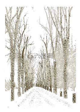 冬天的路径,数字绘画,公园