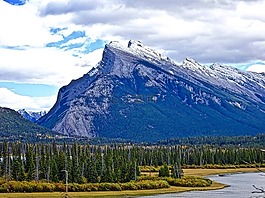 秋,山,森林