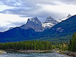 秋,山,森林