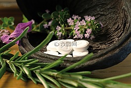 schü?ler,礦物質,替代藥物