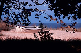 引導(dǎo),銀行,海
