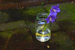 風(fēng)鈴,花瓶,水