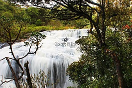 水,秋天,nuwaraeliya