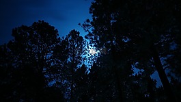 月光,夜,月亮