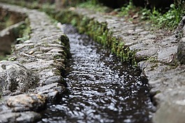 小溪,流水,苔藓