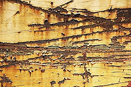 金屬,臟,劃痕
