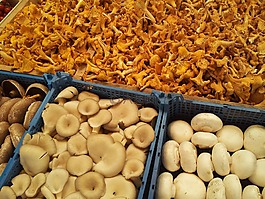 蘑菇,市場,立場