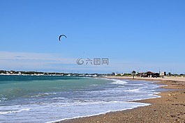 海灘,海,海鷗