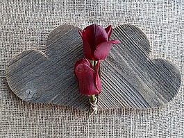 心,郁金香,愛情