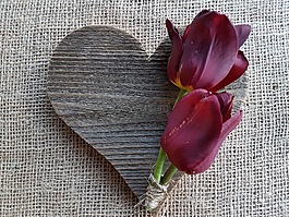 鮮花,郁金香,心
