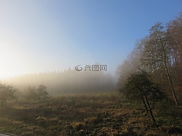 morgenstimmung,霧,景觀