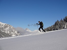 雪兔,雪,雪鞋