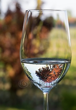 酒杯,白葡萄酒杯,白葡萄酒