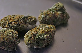 大麻,绿色,库什