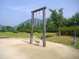 秋千,孩子,大自然