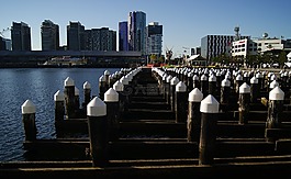 城市,碼頭,天際線