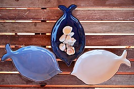 貝殼,魚,藍(lán)色