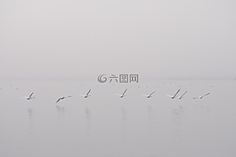 水,海洋,海