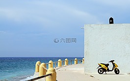 海,海岸,黃色