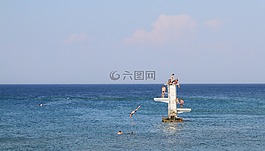 蹦床,海,海洋