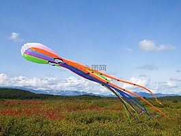 風箏,章魚,天空