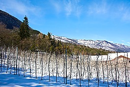 雪,性質(zhì),冬天