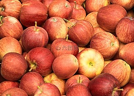 蘋果,紅色,水果