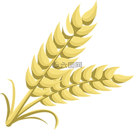 小麦,草,自然