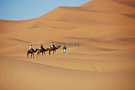 沙漠,砂,沙丘